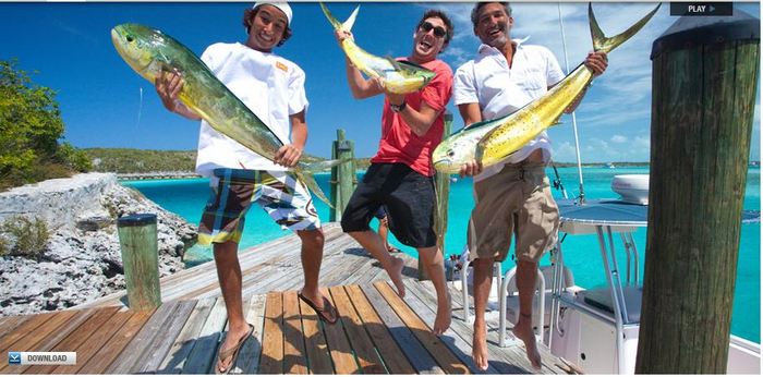 Photo from the Fowl Cay Resort website.