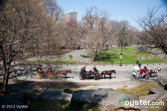 Por que andar pelo Central Park quando você pode fazer um passeio elegante em uma carruagem puxada por cavalos?