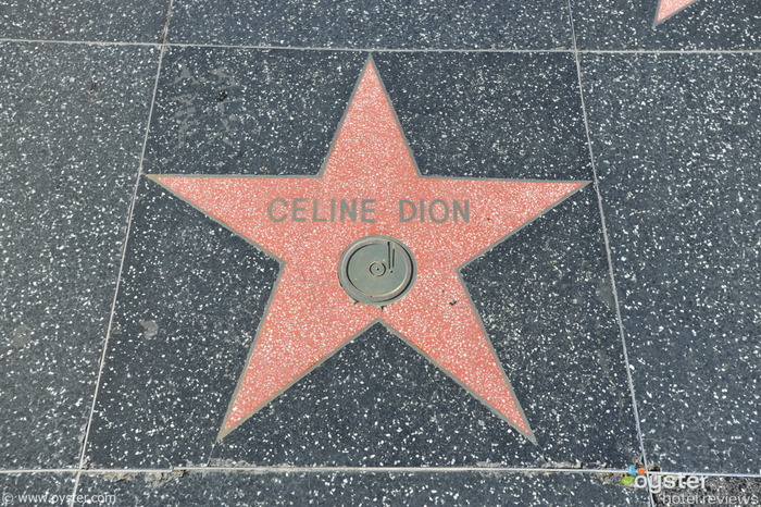 Celine Dion star on the Hollywood Walk of Fame