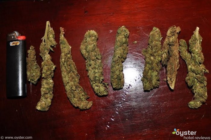 In Jamaica, marijuana is measured in height, not weight.