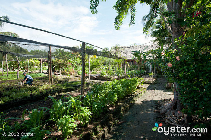 Jardins orgânicos, como este no Turtle Inn de Belize, são apenas um passo que os hotéis - e os hóspedes - podem fazer para se tornarem verdes.
