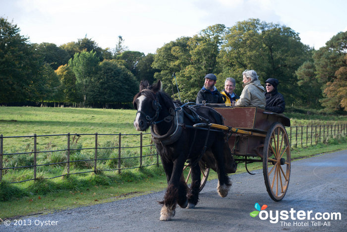 Les touristes font une visite guidée à cheval du parc national de Killarney.