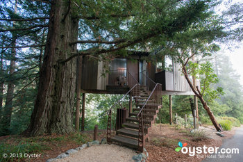 Les maisons dans les arbres au Post Ranch Inn sont éco-sensibles, mais toujours luxueuses.