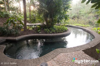 Der beheizte Pool im Blancaneaux Lodge in Belize ist nur auf überraschend luxuriöse grüne Annehmlichkeit