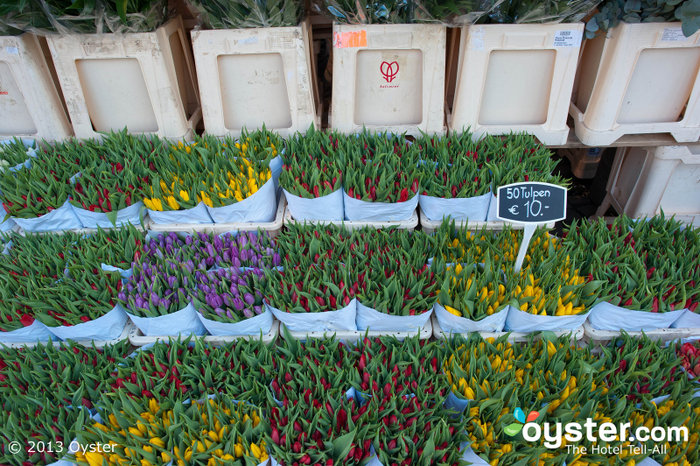 Los coloridos tulipanes de Amsterdam son una atracción principal durante los meses más cálidos.