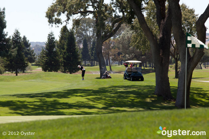 Fore! Tiger n'a rien sur maman ce dimanche.