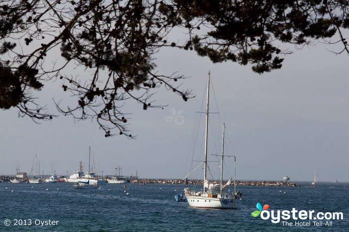 Monterey is home to an abundant marine life, with frequent whale and sea lion spottings.