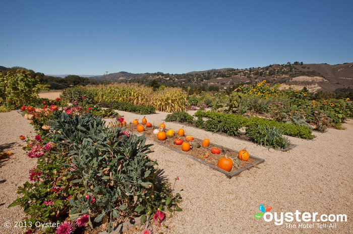 A horta orgânica no Carmel Valley Ranch oferece produtos deliciosos durante todo o ano.