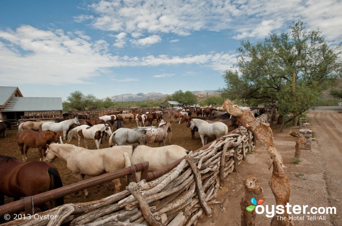 Para uma verdadeira fuga no deserto, o Tanque Verde Ranch de Tucson é difícil de superar.