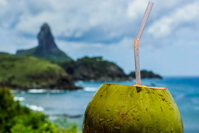 Noix de coco fraîche: Gracieuseté de Embratur - Photographe Andre Maceira