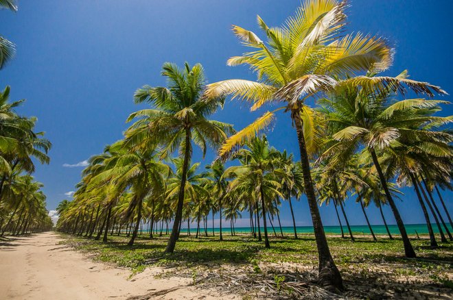 Porto de Galinhas: Courtesy of Embratur - Photographer Andre Maceira