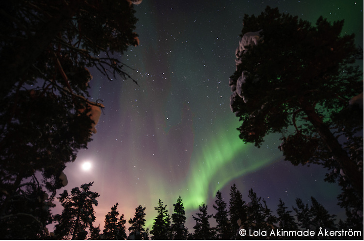 Credito fotografico: Lola Akinmade Akerstrom , National Geographic Creative