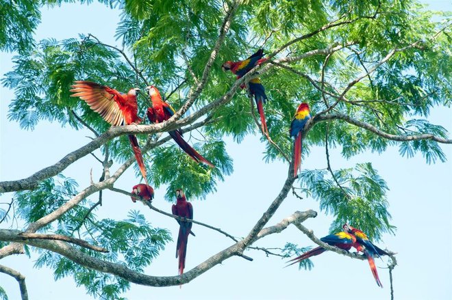 Foto mit freundlicher Genehmigung von Hotel Punta Islita