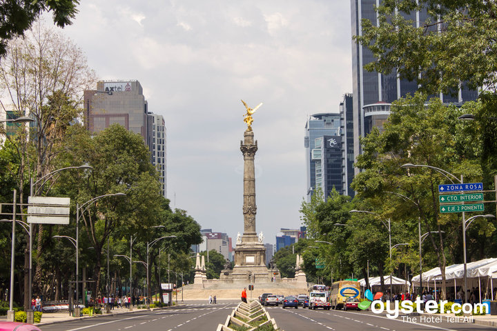 Zona Rosa, Mexico City/Oyster