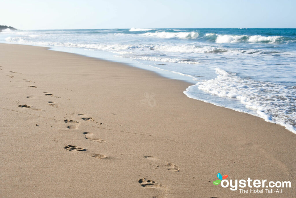 Nós gostaríamos de uma praia livre de algas, por favor!