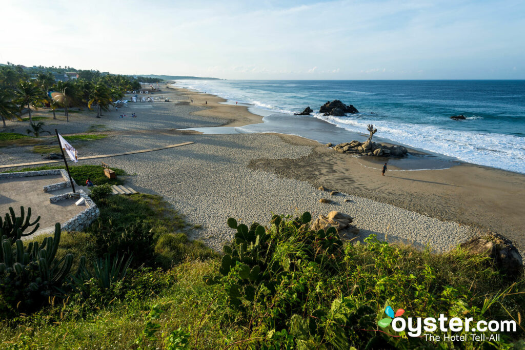 Puerto Escondido, Oaxaca / Ostra