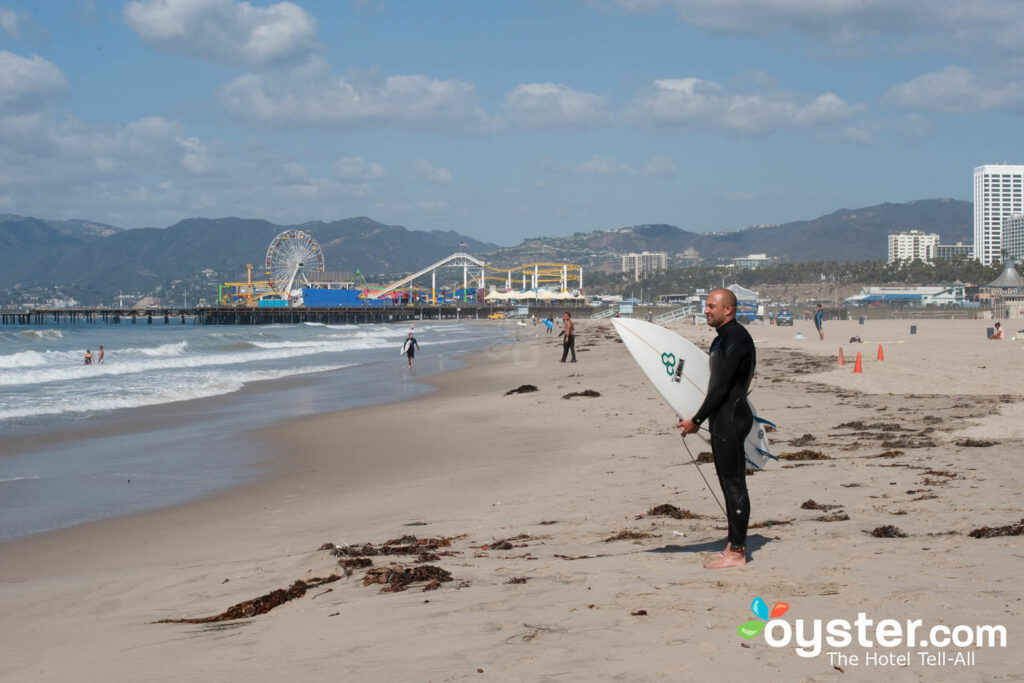 Plage aux volets sur la plage / huître