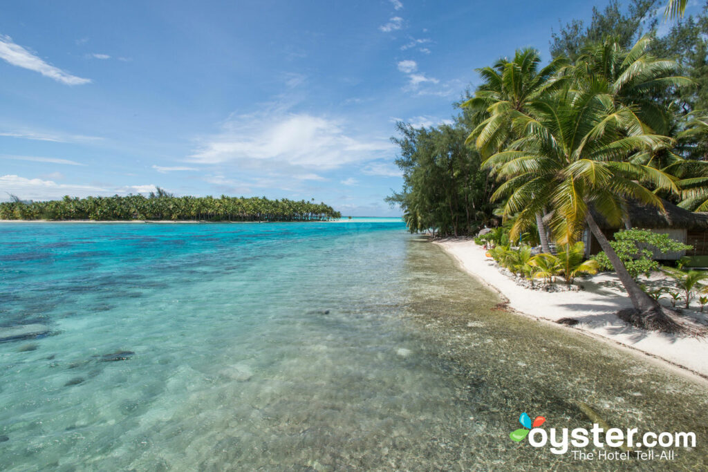 Praia no Blue Heaven Island / Oyster