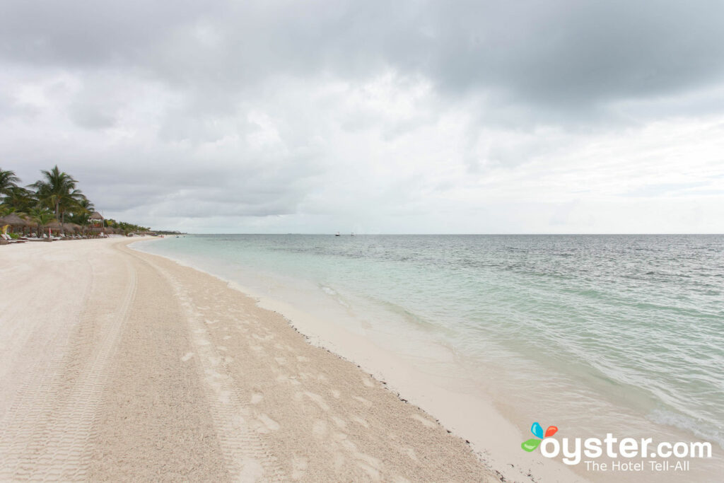 Geliebte Playa Mujeres / Auster