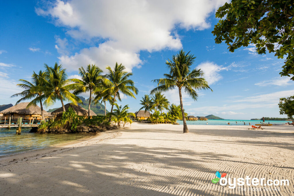 Plage à Bora Bora Pearl Beach Resort & Spa / Huître