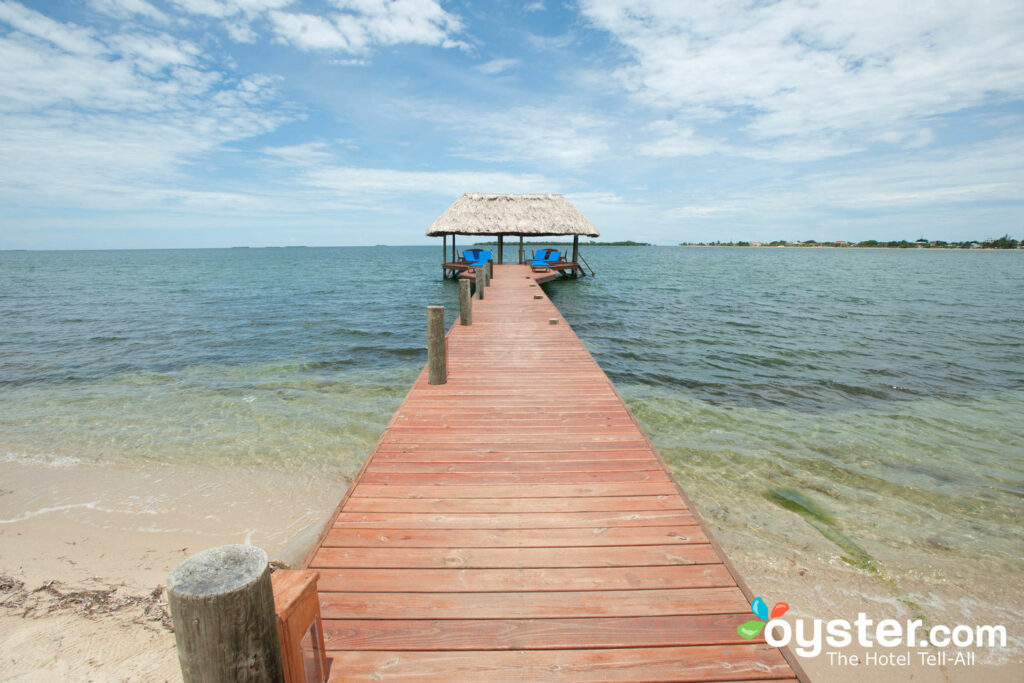 Chabil Mar, Belize / Huître