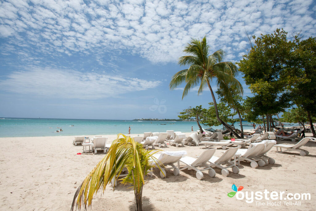 Plage chez Couples Negril / Huître