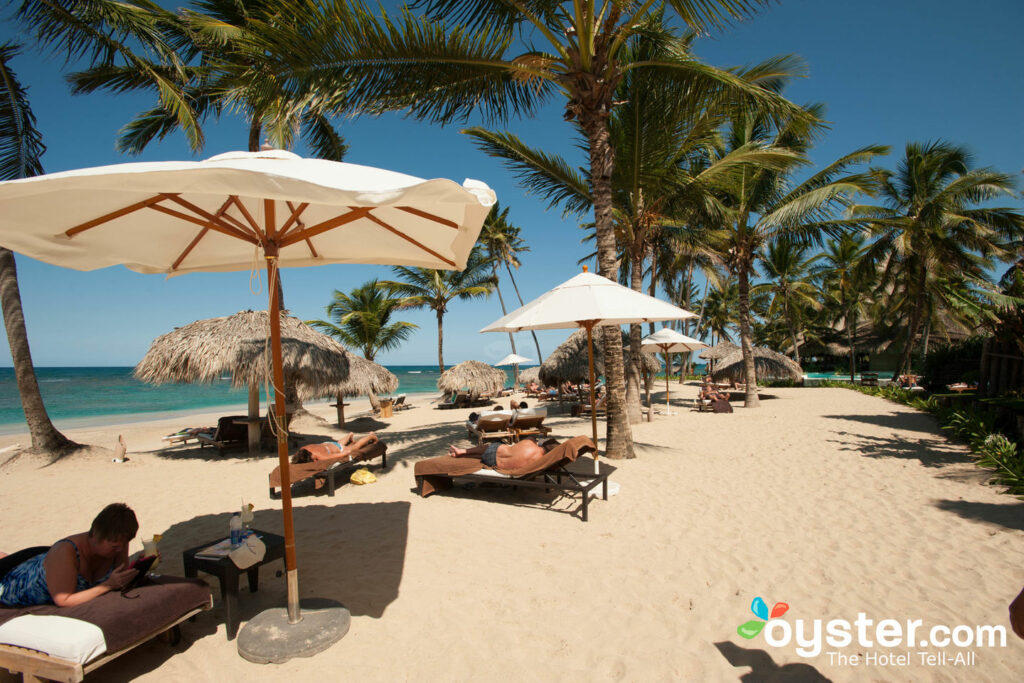 Plage à la Zoetry Agua Punta Cana / Huître