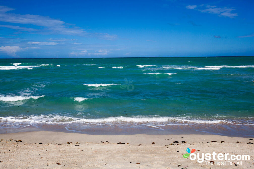 Spiaggia presso l'Alexander All-Suite Oceanfront Resort, Miami / Oyster