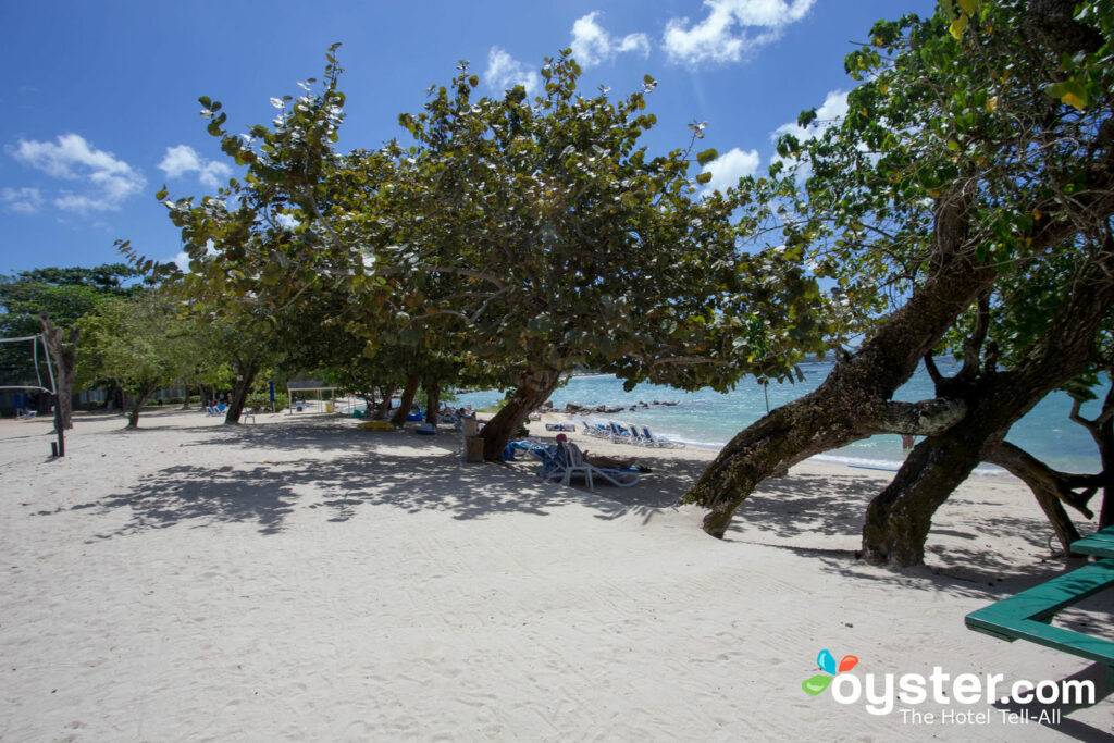 Strand bei Hedonism II / Oyster