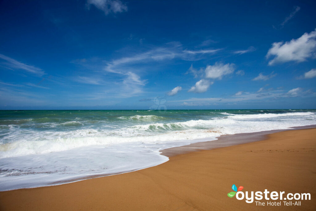 Strand in Phuket, Thailand / Auster