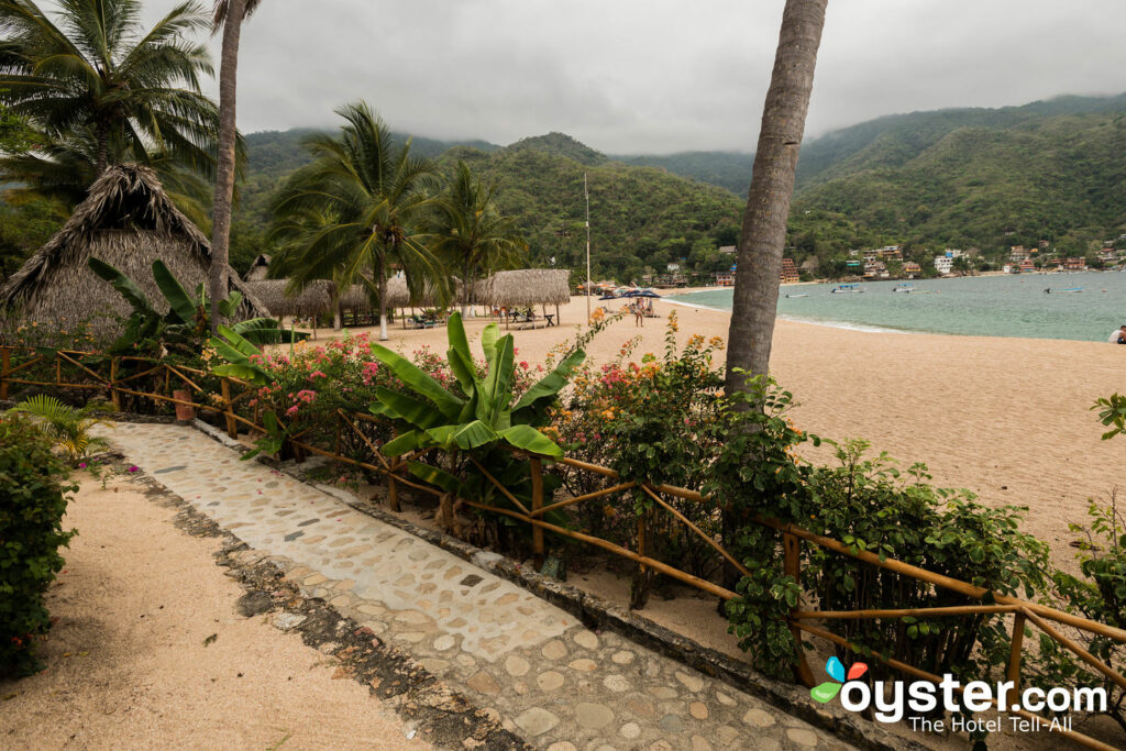 Plage à l' hôtel Lagunita / Huître