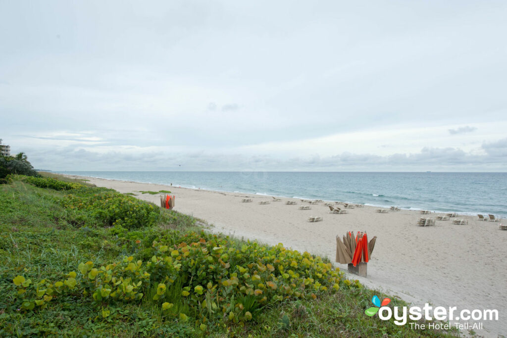 Playa en el Four Seasons Resort Palm Beach / Oyster