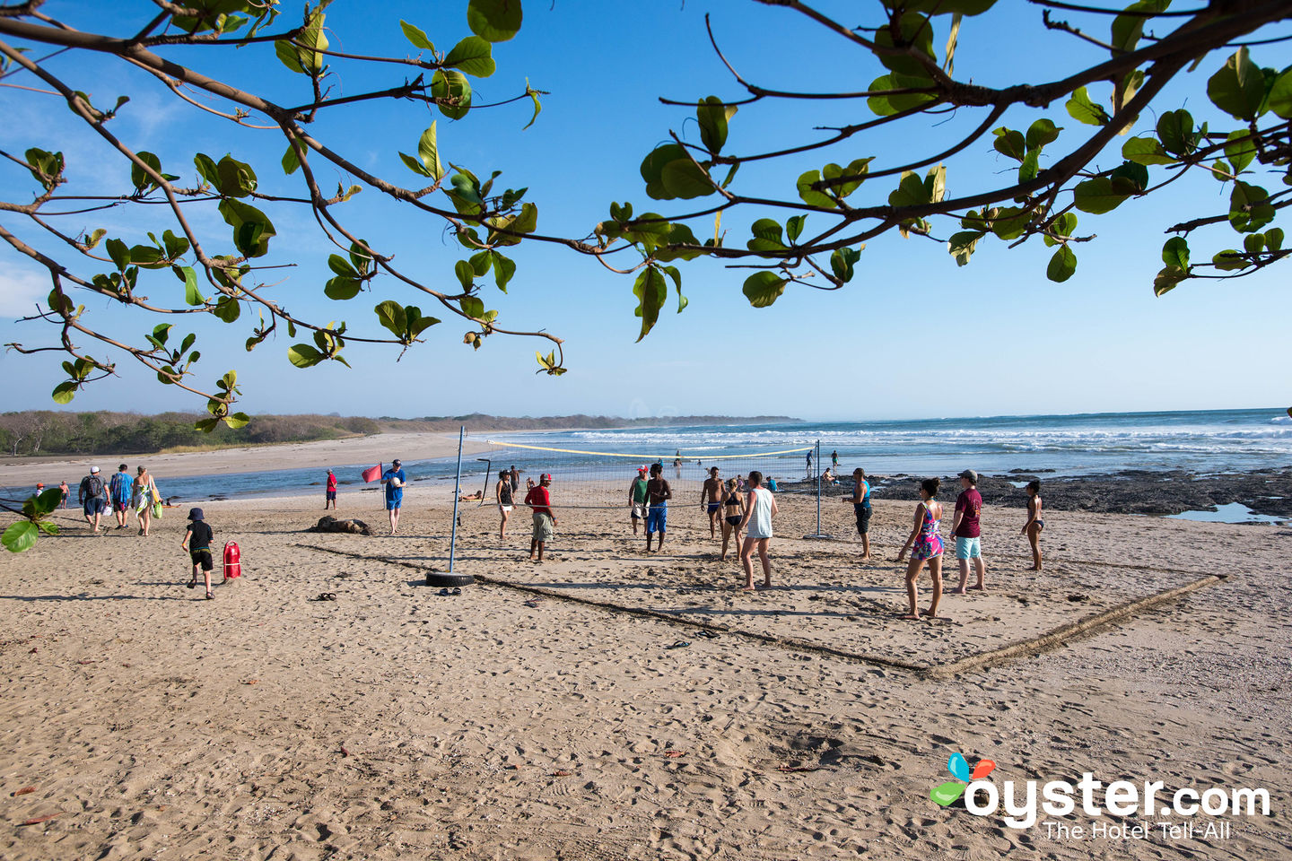 Occidental Tamarindo Review What To Really Expect If You Stay