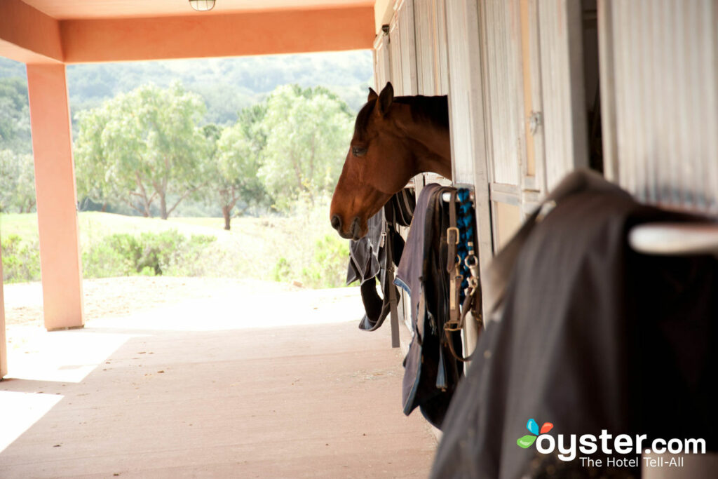 Del Mar Equestrian Center.