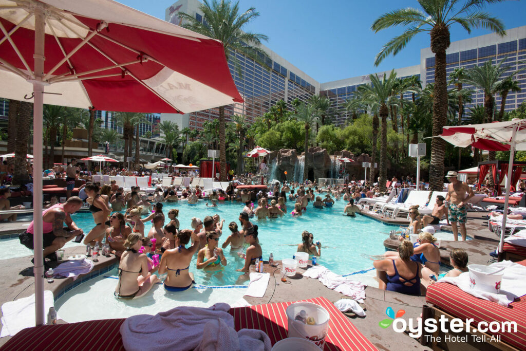 flamingo las vegas pool waterslide