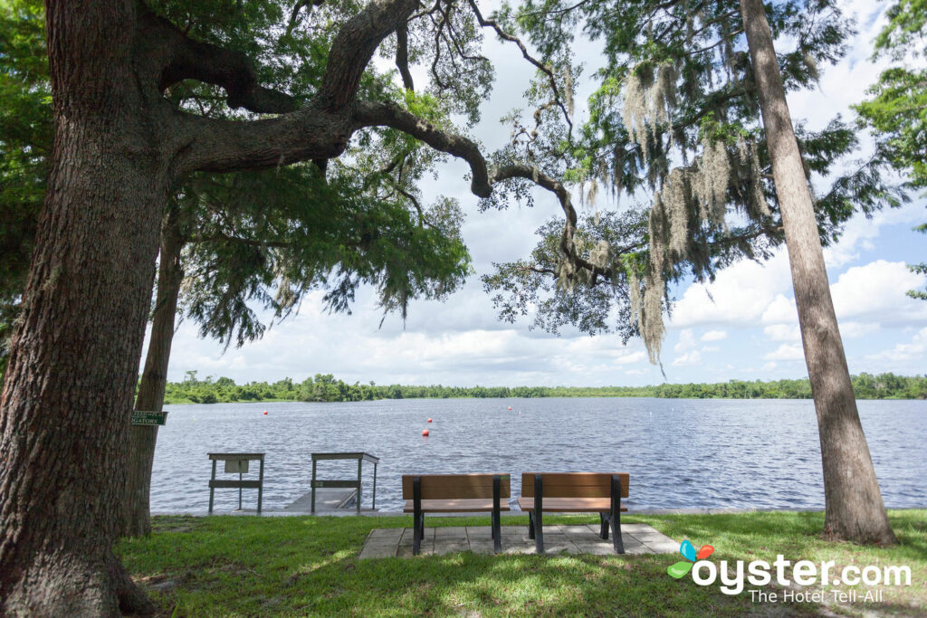 Cypress Cove Nudist Resort/Oyster