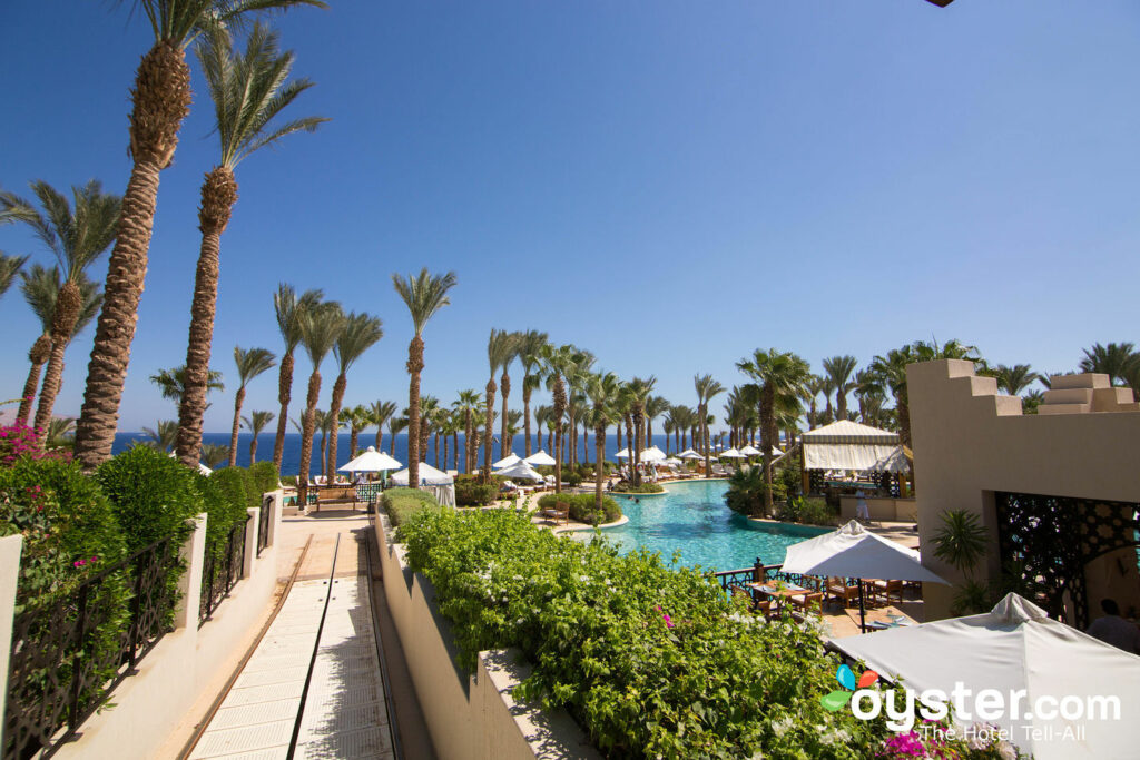 The hotel grounds are gorgeously manicured and lined with palm trees.