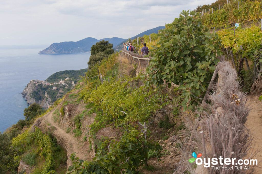 Wanderweg bei Bed and Breakfast Il Vigneto / Oyster