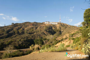 Hollywood, Los Angeles/Oyster