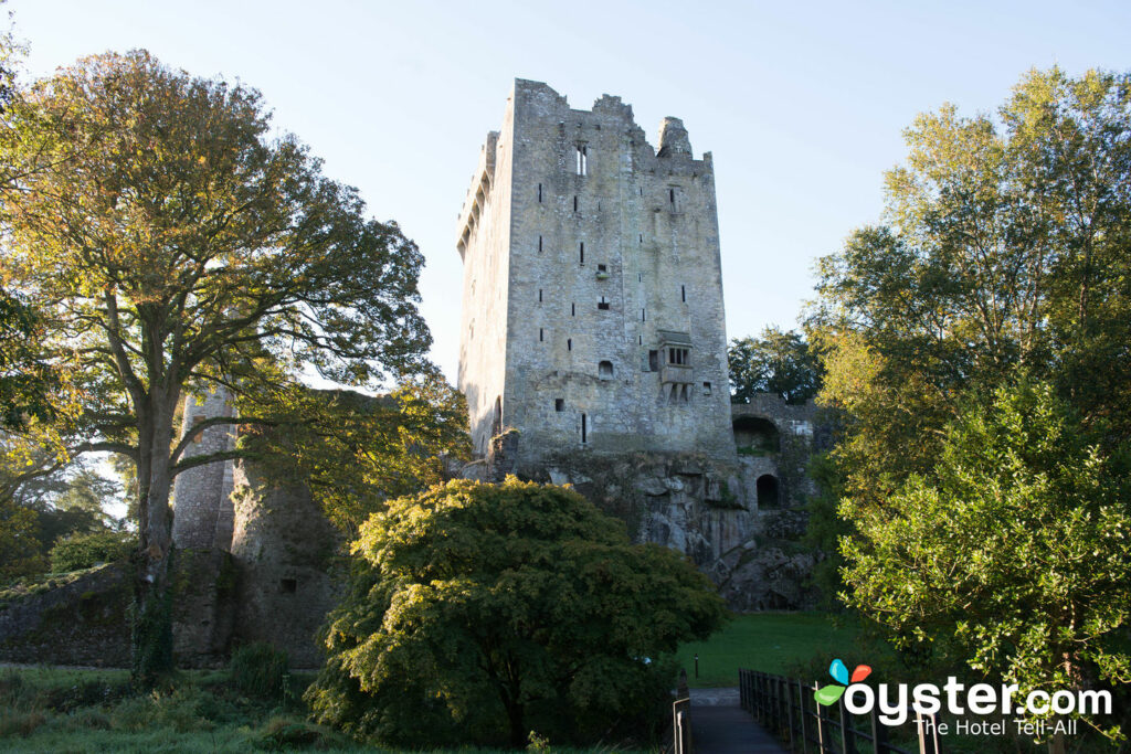 Blarney Castle, Ireland/Oyster Blarney Castle, Ireland/Oyster