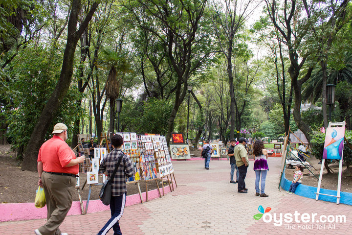 San Rafael, Mexico City/Oyster