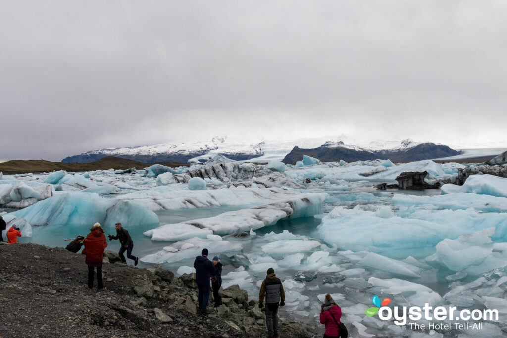 Laguna del ghiacciaio di Jokulsarlon / Oyster