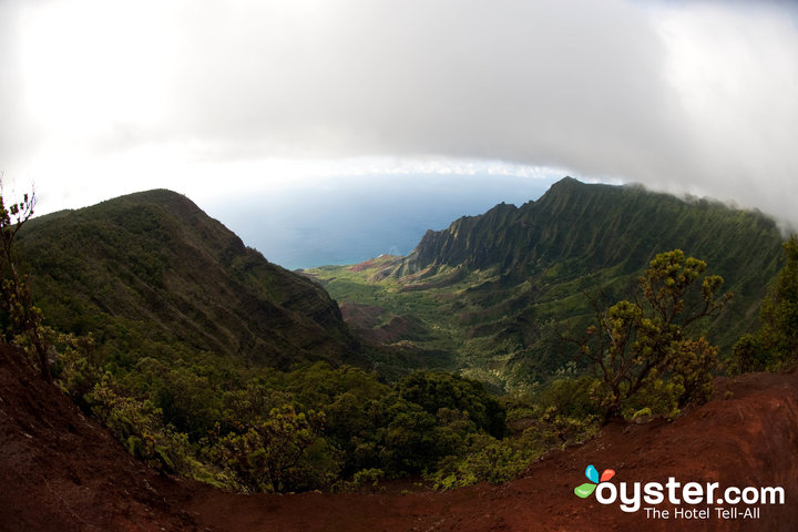 Waimea Canyon, Kauai / Huître