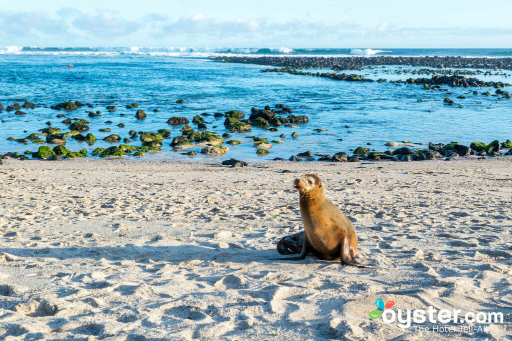 San Cristobal, Isole Galapagos