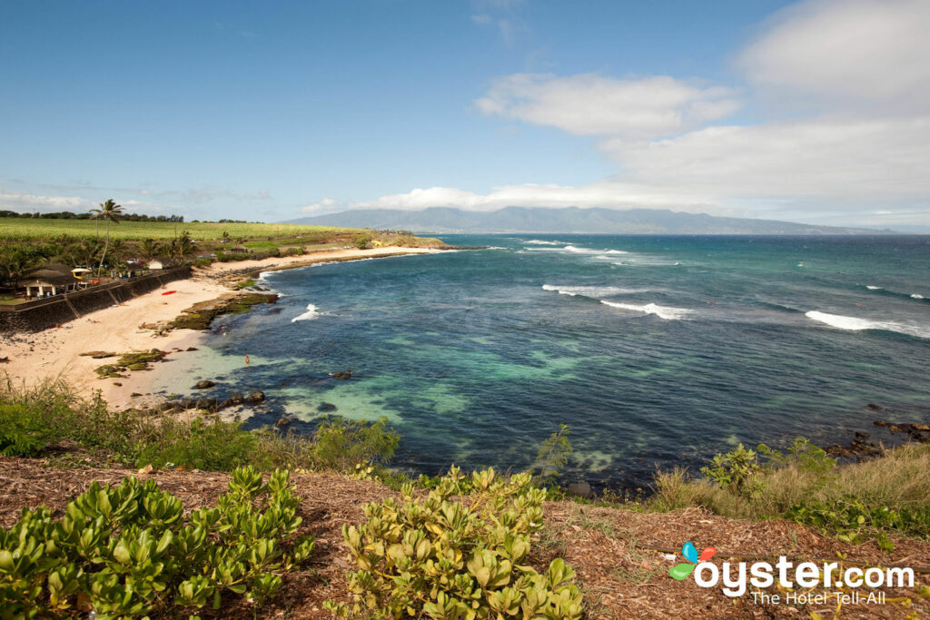 A lo largo del camino a Hana, Maui / Oyster