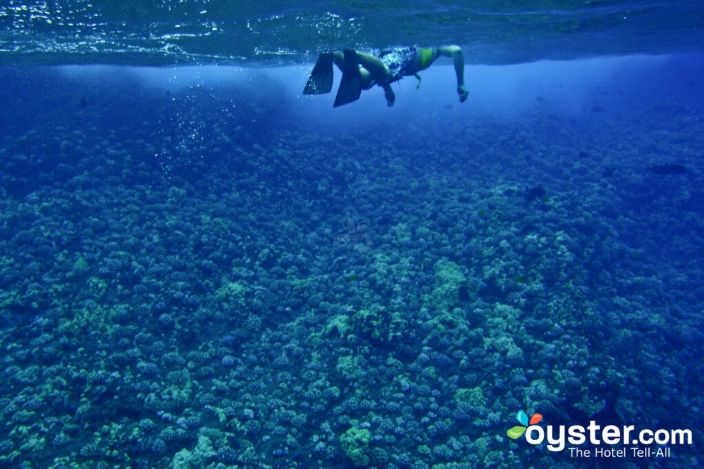 Snorkeling em Maui