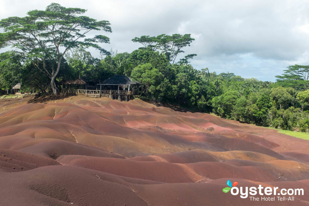 Seven Colored Earth / Oyster