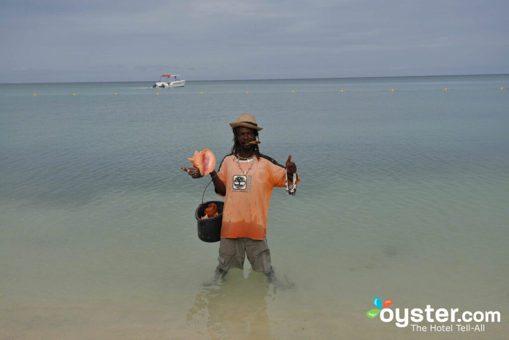 Plage de l' hôtel Riu Montego Bay / Oyster