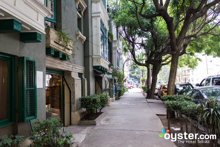 Condesa, Ciudad de México / Oyster