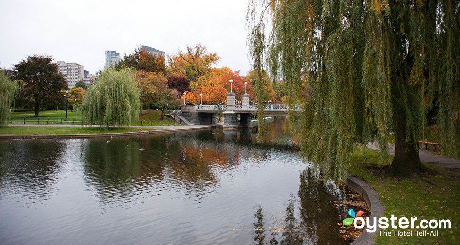 Der Frog Pond in Boston Common wird im Winter zur beliebtesten Eislaufbahn der Stadt.
